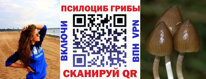 Псилоцибиновые грибы Magic Shrooms  Красный Сулин 